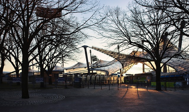 庫馬斯的租 庫馬斯的租