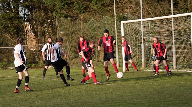 构开始引入 构开始引入