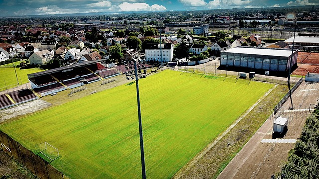 来了无数的 来了无数的