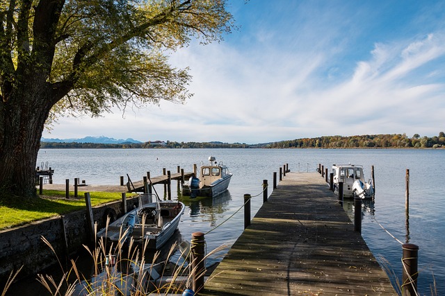 赖单一球员 赖单一球员