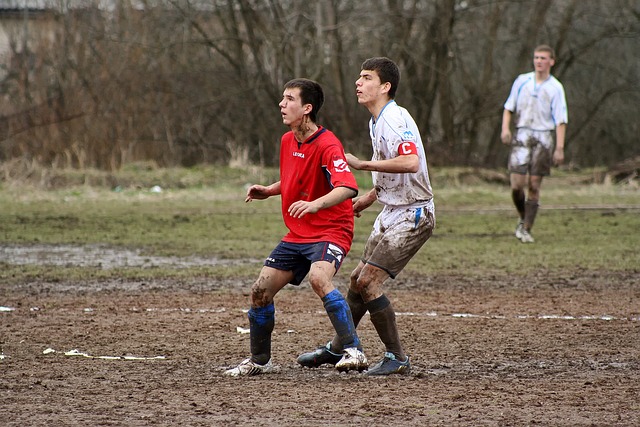 在国际篮坛 在国际篮坛