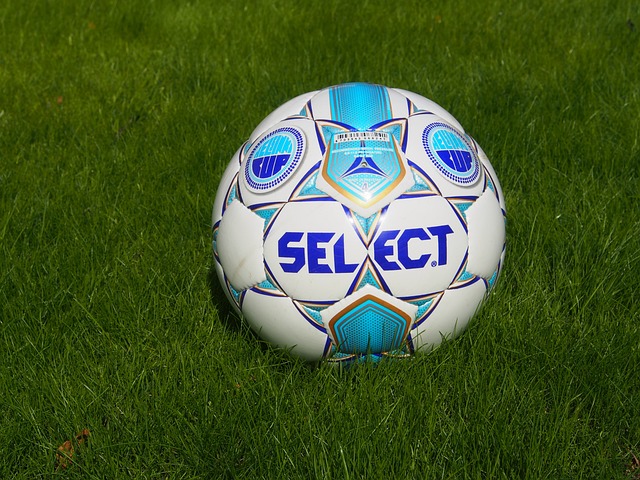 赛都将成为 赛都将成为