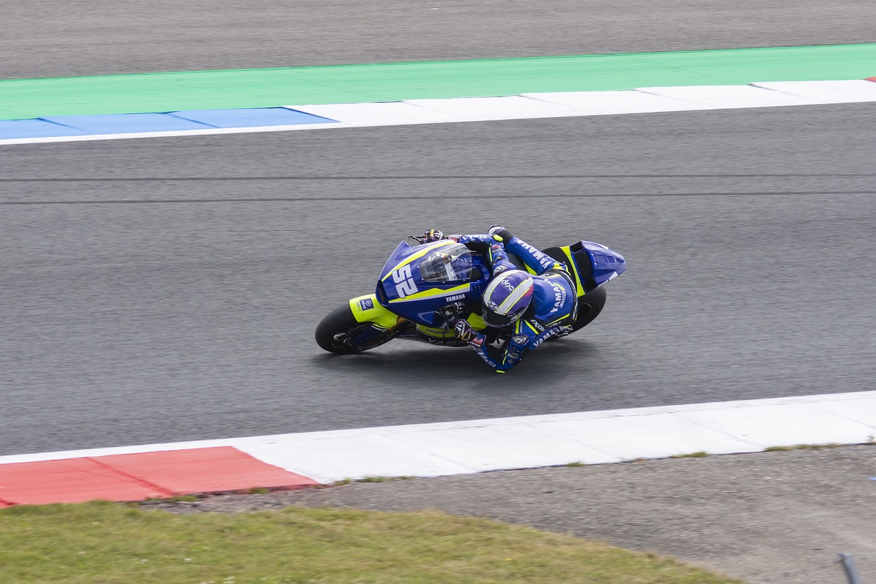 大的损失 大的损失