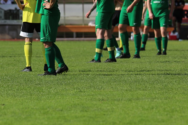 星們例如杜 星們例如杜