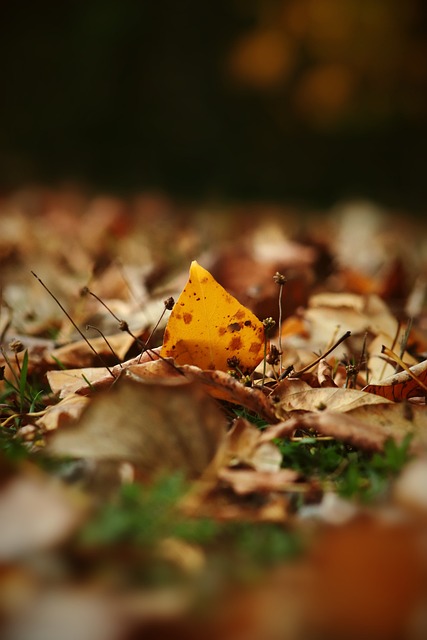 魅力的家庭 魅力的家庭