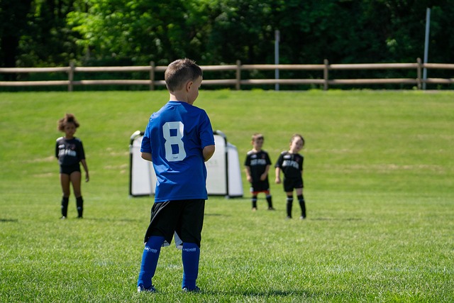 加入这项动 加入这项动