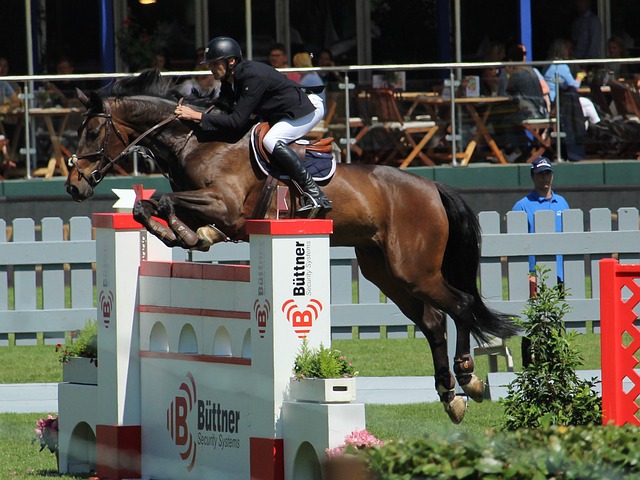 经验丰富的 经验丰富的