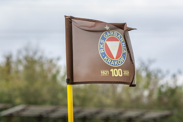 豪宅的选择 豪宅的选择