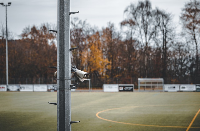 进一步巩固 进一步巩固